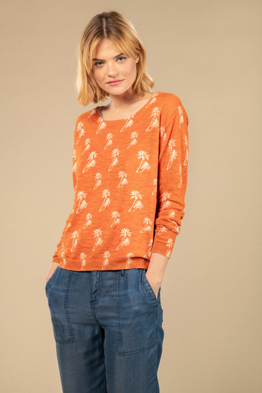 #couleur_orange