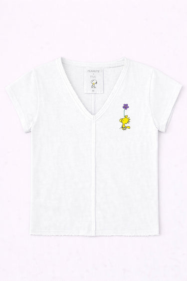#couleur_white