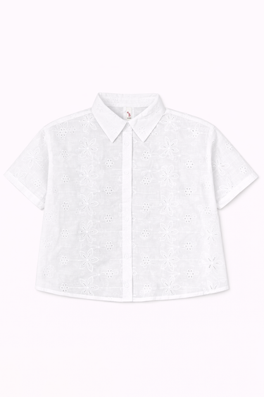 #couleur_white
