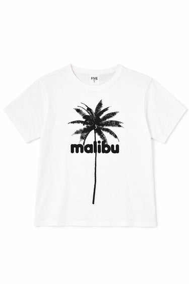 #couleur_white